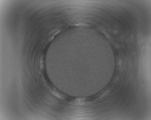 X0000079290080200611251658