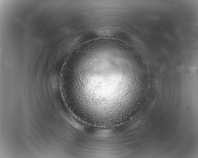 X0000079290081200611251658