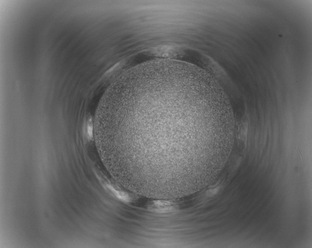X0000079290095200611251658