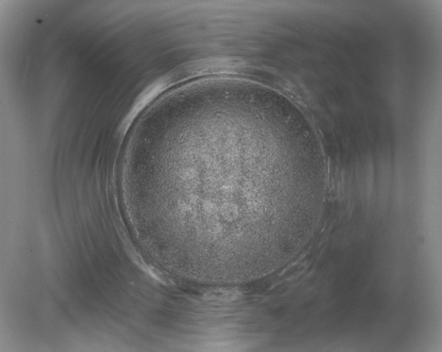 X0000079290099200611251657