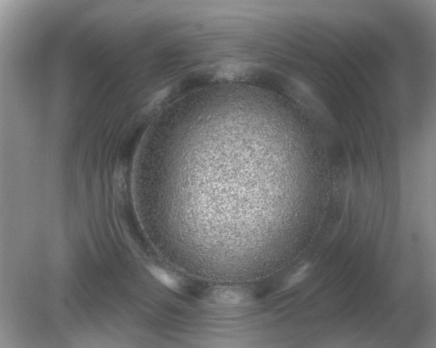 X0000079290127200611251657
