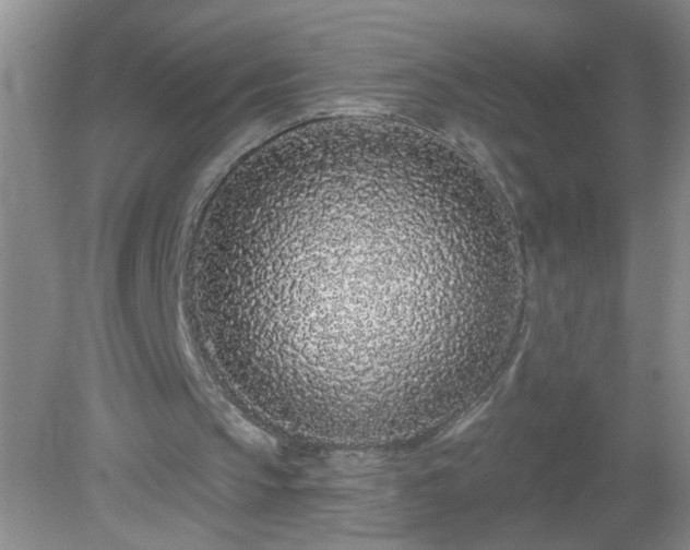 X0000079290145200611251656