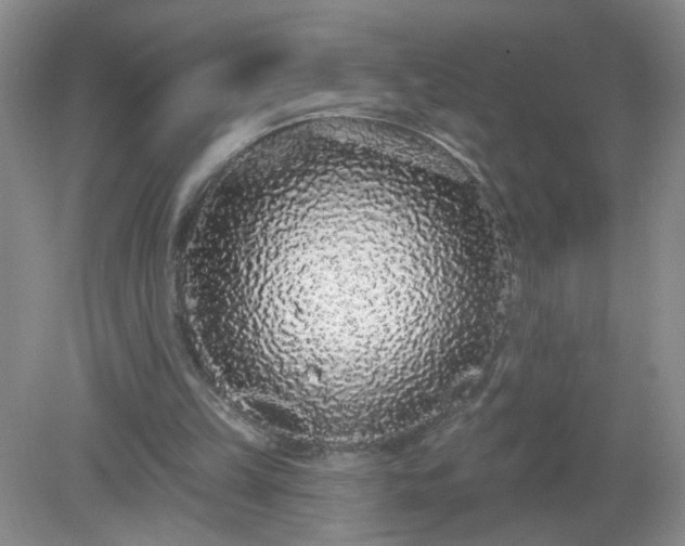 X0000079290149200611251656
