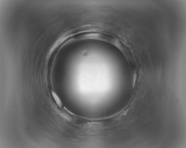 X0000079290150200611251656