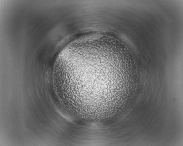 X0000079290165200611251656
