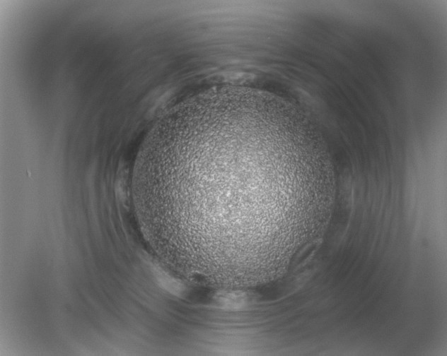 X0000079290181200611251656