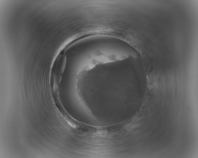 X0000079290196200611251656