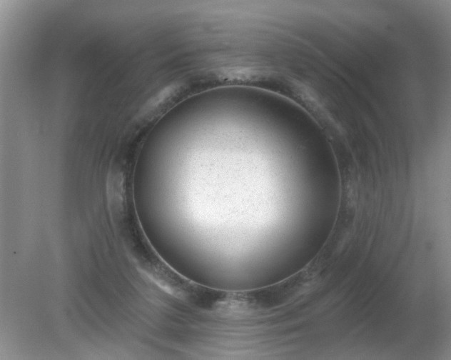 X0000079290211200611251656