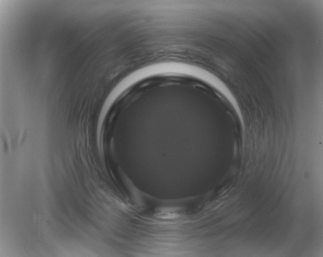 X0000079290219200611251655