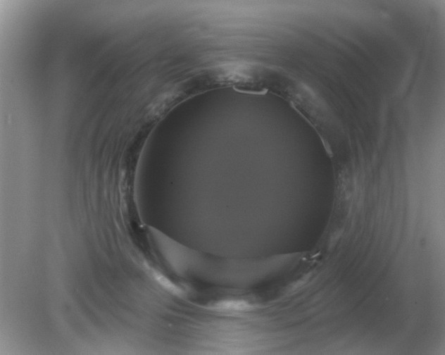 X0000079290223200611251655