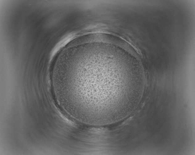 X0000079290245200611251654