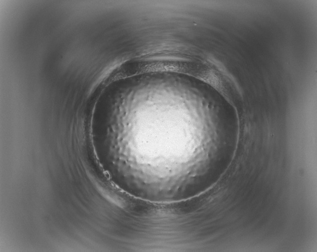 X0000079290250200611251654