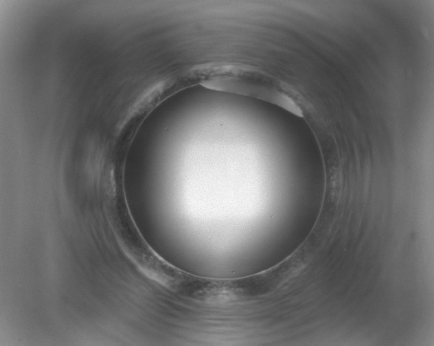 X0000079290254200611251654