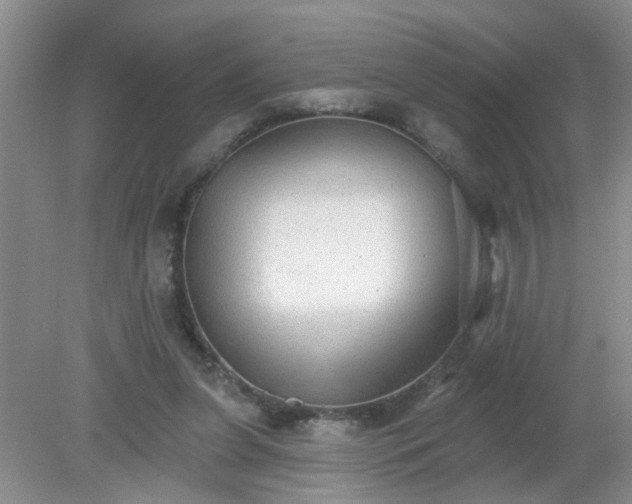 X0000079290255200611251654