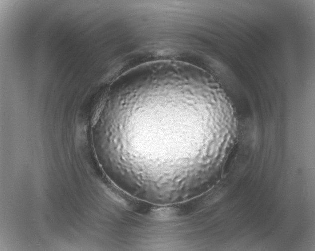 X0000079290269200611251655