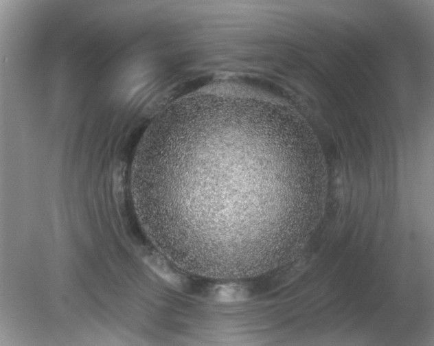 X0000079290275200611251655