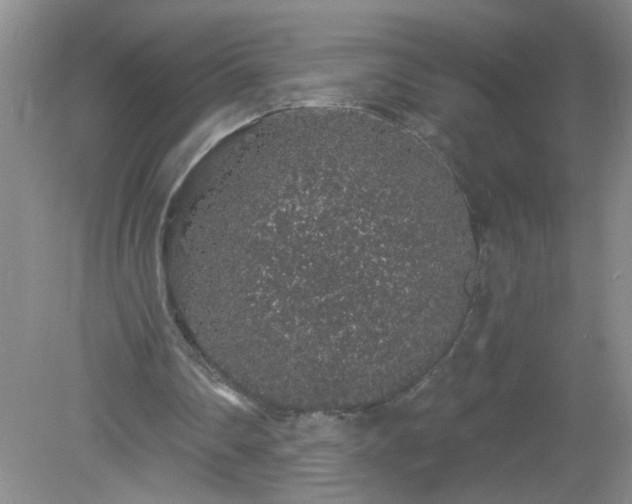 X0000079290290200611251654