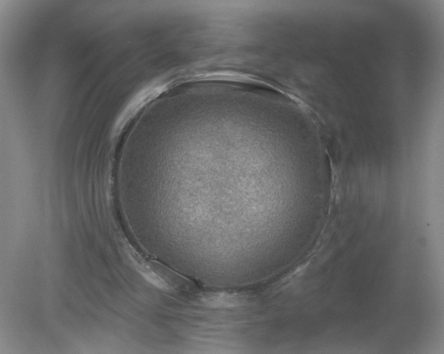 X0000079290293200611251654