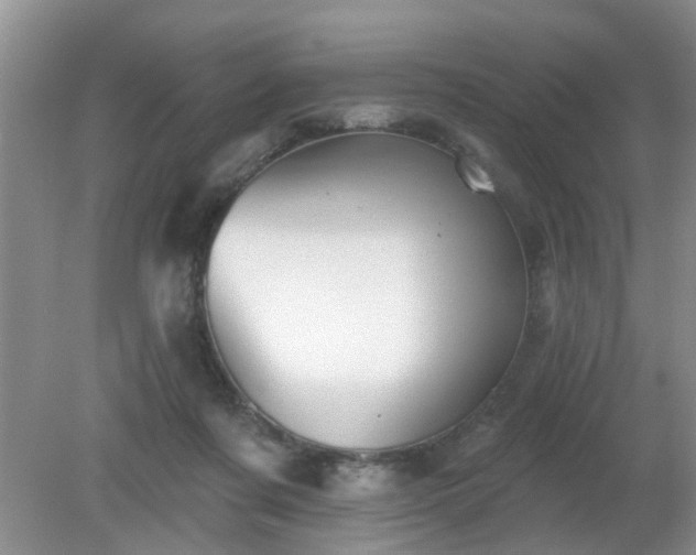 X0000079290311200611251654