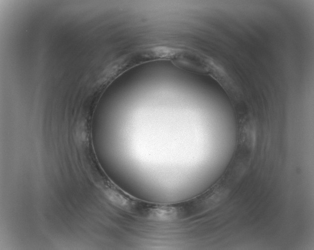 X0000079290317200611251654