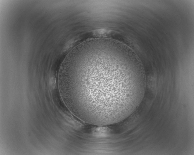 X0000079290324200611251654