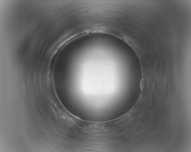 X0000079290338200611251653