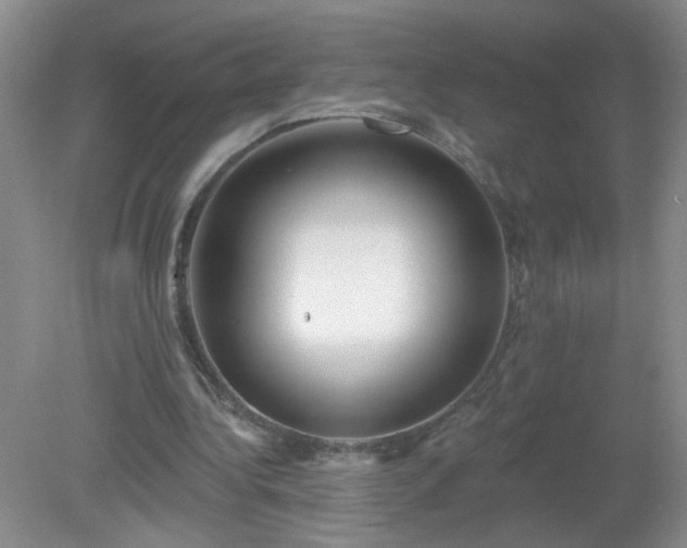 X0000079290340200611251653