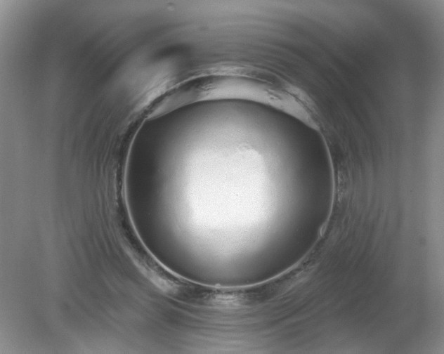 X0000079290349200611251653