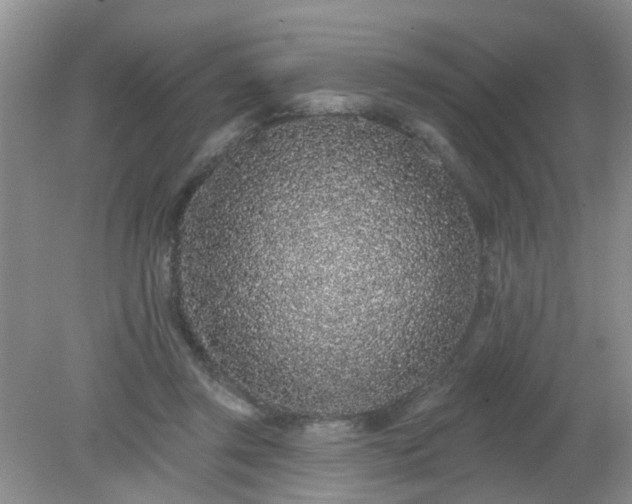 X0000079290357200611251653