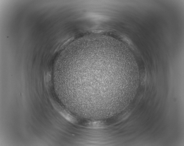 X0000079290365200611251653