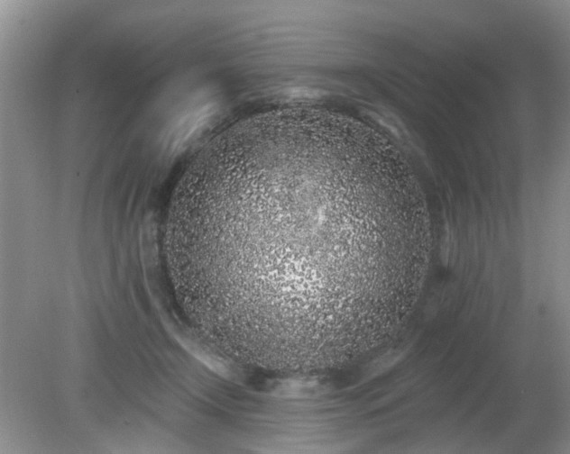 X0000079290366200611251653