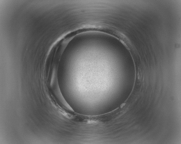 X0000079290388200611251653