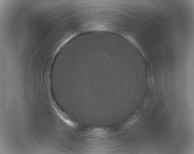 X0000079290390200611251653