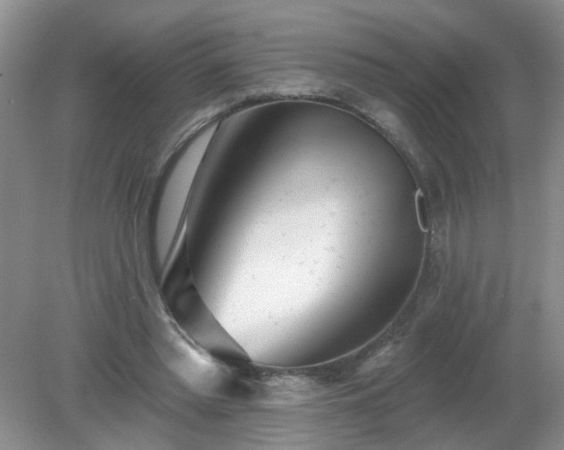 X0000079290397200611251652