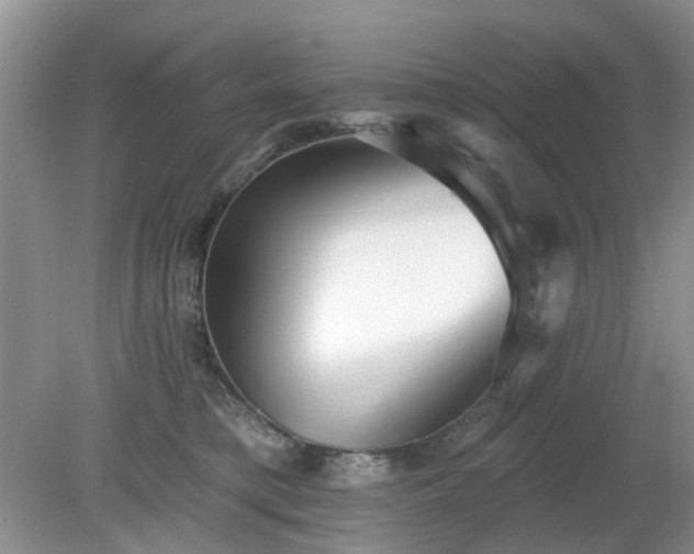 X0000079290421200611251652