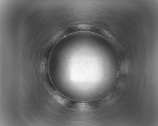 X0000079290424200611251652
