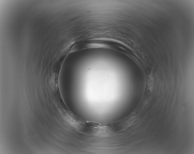 X0000079290428200611251652