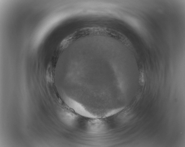 X0000079290431200611251652