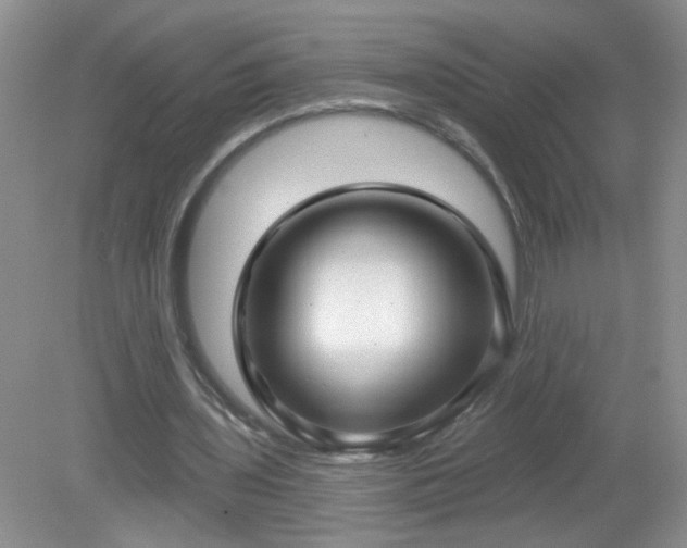 X0000079290435200611251651