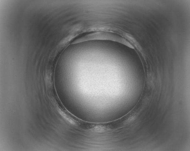 X0000079290441200611251651