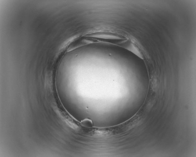 X0000079290442200611251651