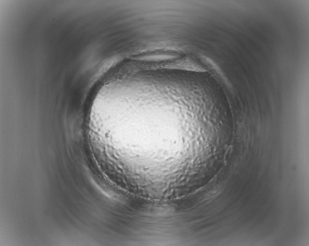 X0000079290443200611251651