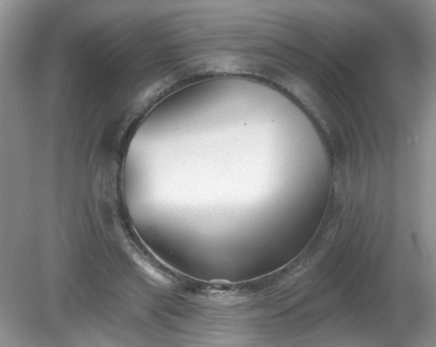 X0000079290445200611251651