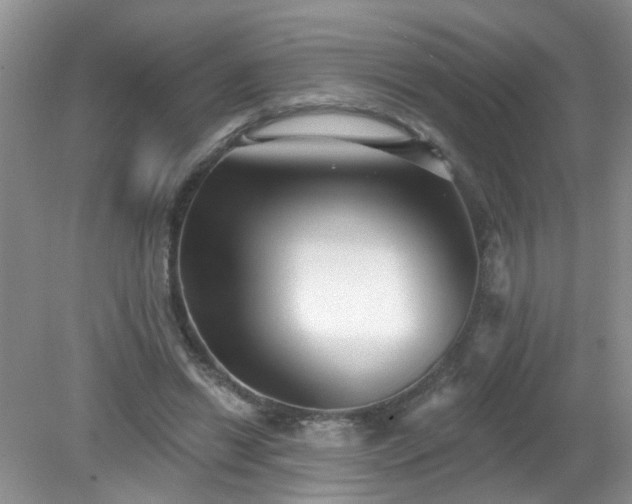 X0000079290446200611251651