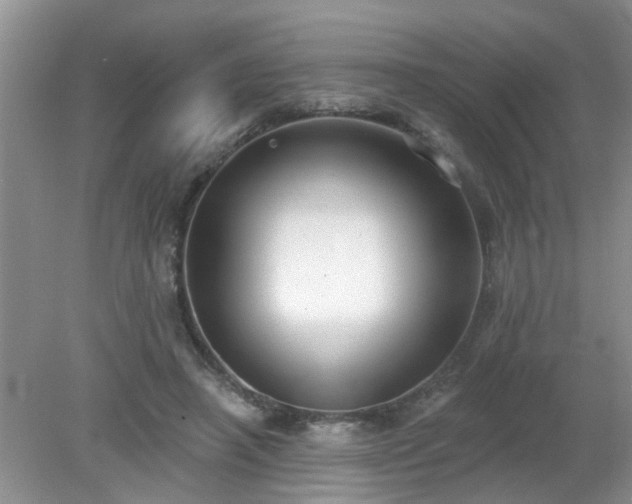 X0000079290450200611251651