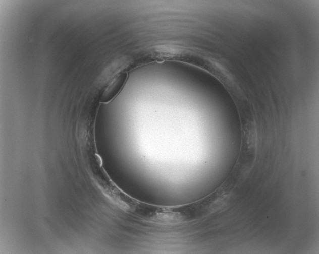 X0000079290455200611251651