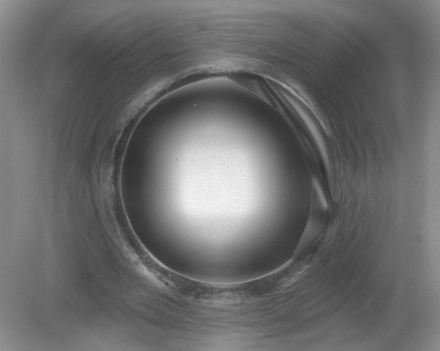 X0000079290485200611251651