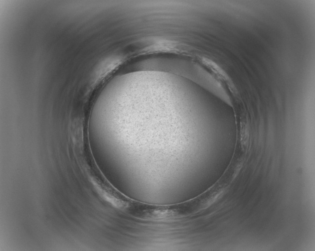 X0000079290493200611251651