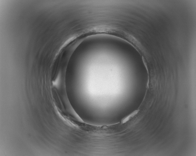 X0000079290530200611251649