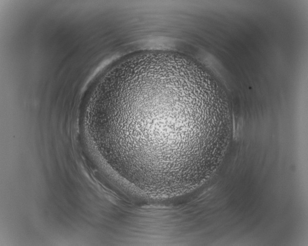 X0000079290531200611251649